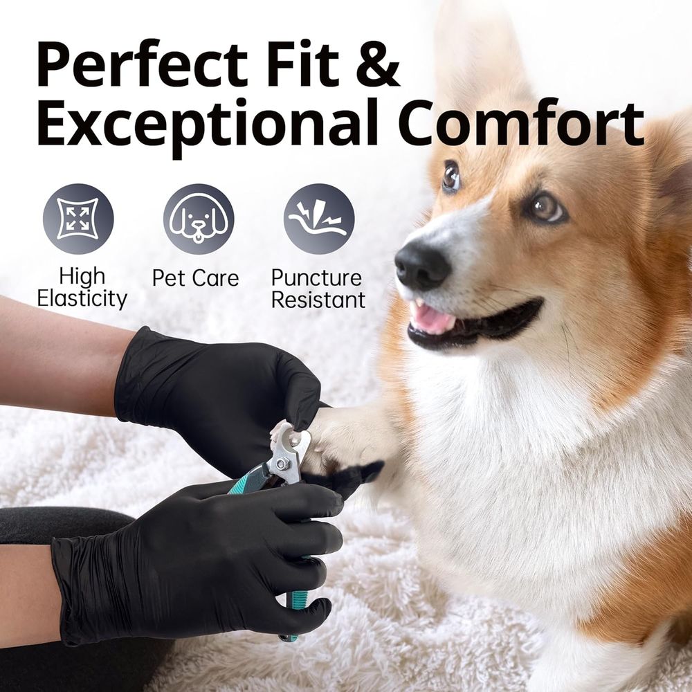 Disposable Nitrile Gloves - La - Latex Disposable Glove avis et prix